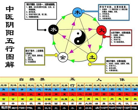 陰陽二氣|陰陽五行